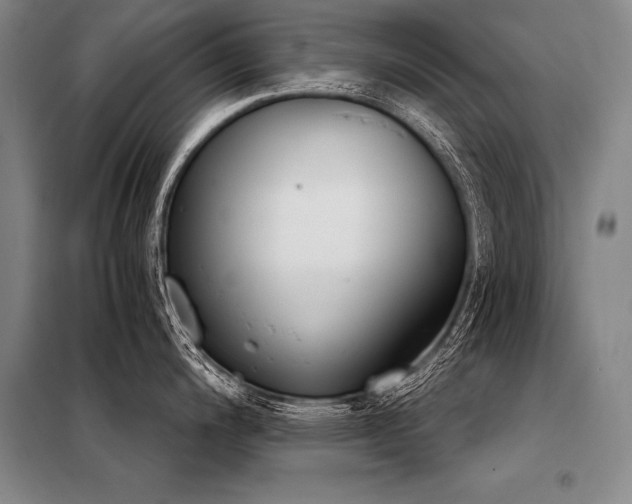 X0000098141200200804171539