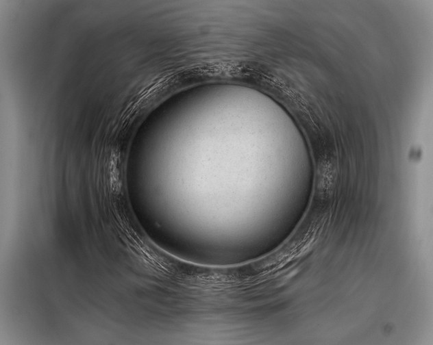 X0000098141202200804171538