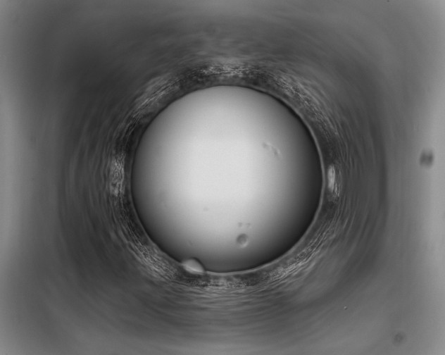 X0000098141203200804171538