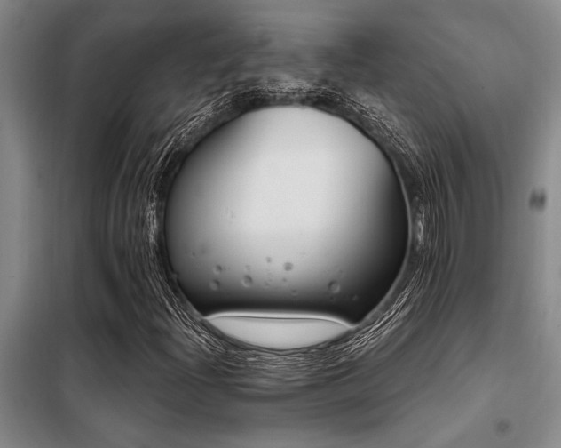 X0000098141204200804171539