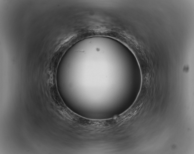 X0000098141205200804171539