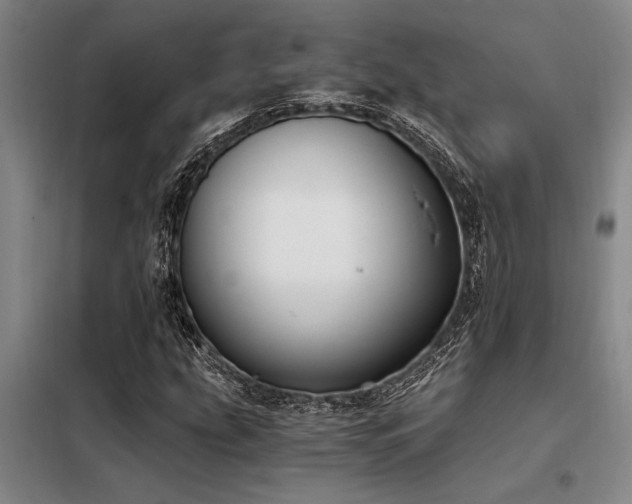 X0000098141207200804171539