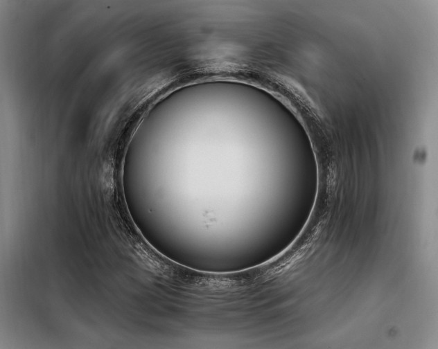 X0000098141209200804171539