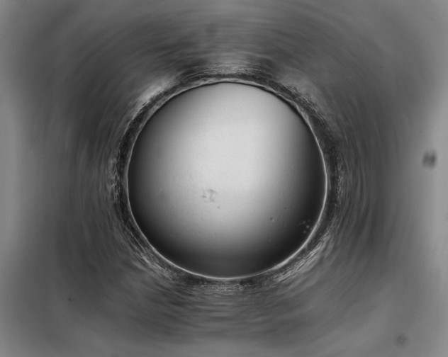 X0000098141210200804171539