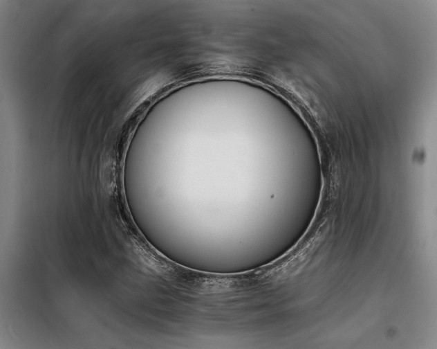 X0000098141211200804171539