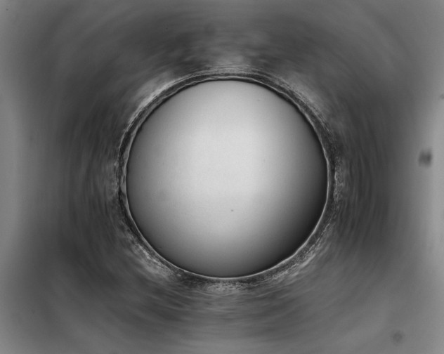 X0000098141212200804171539