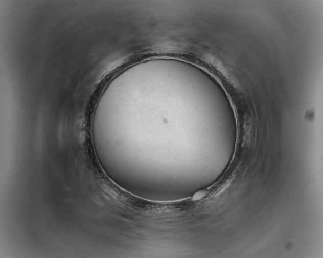 X0000098141213200804171539