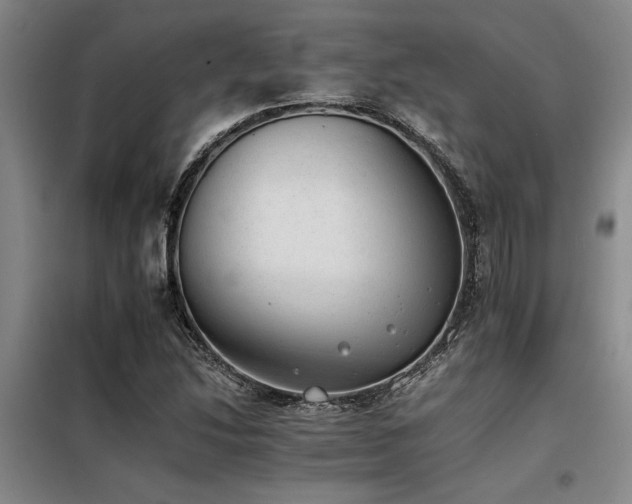 X0000098141214200804171539