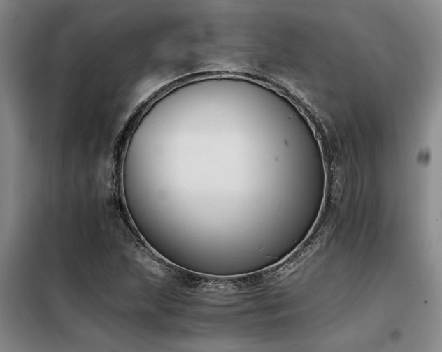 X0000098141215200804171539