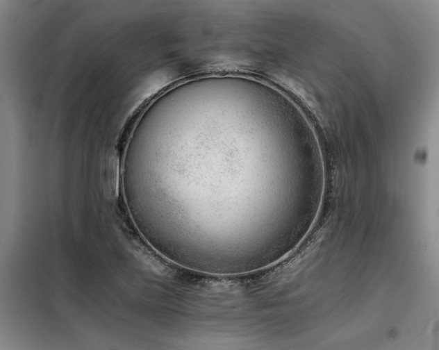 X0000098141219200804171539