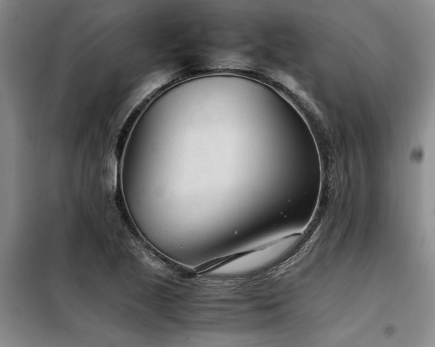 X0000098141221200804171539