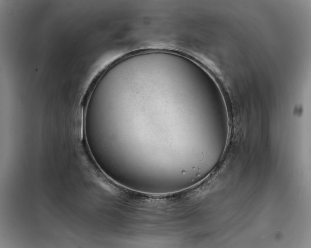 X0000098141223200804171539
