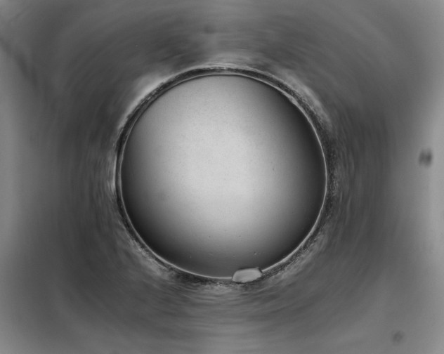 X0000098141224200804171539