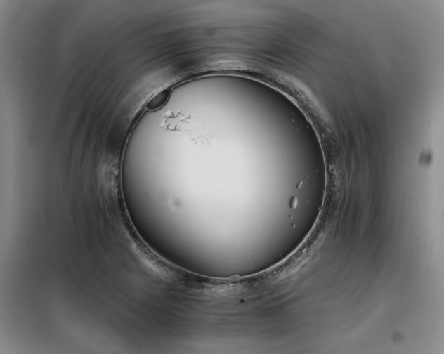 X0000098141225200804171539
