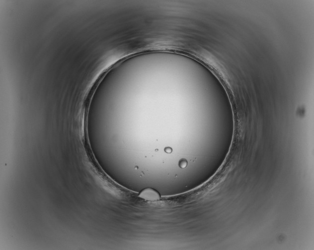 X0000098141227200804171539