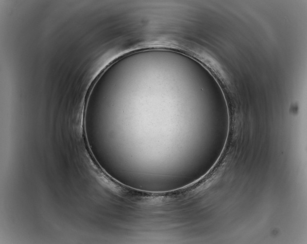 X0000098141228200804171539