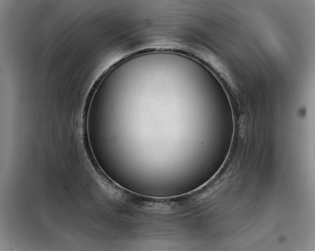 X0000098141229200804171539