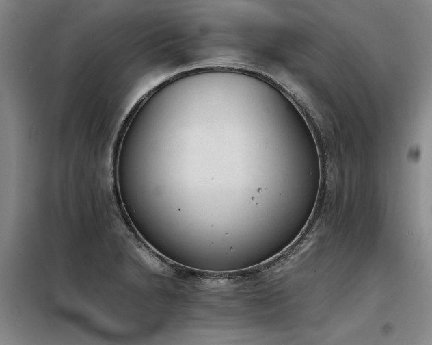 X0000098141230200804171539