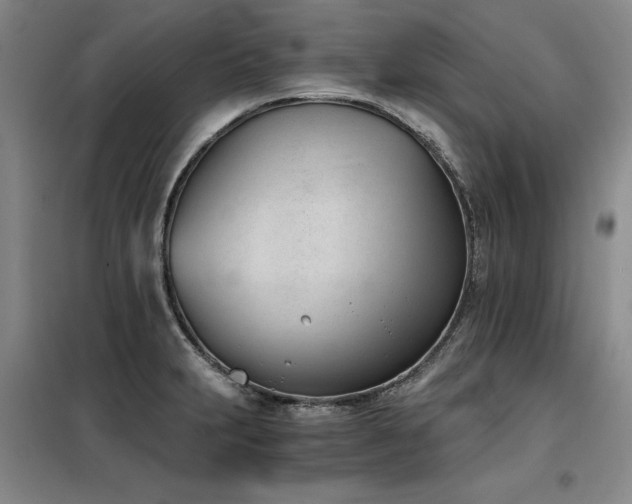 X0000098141231200804171539
