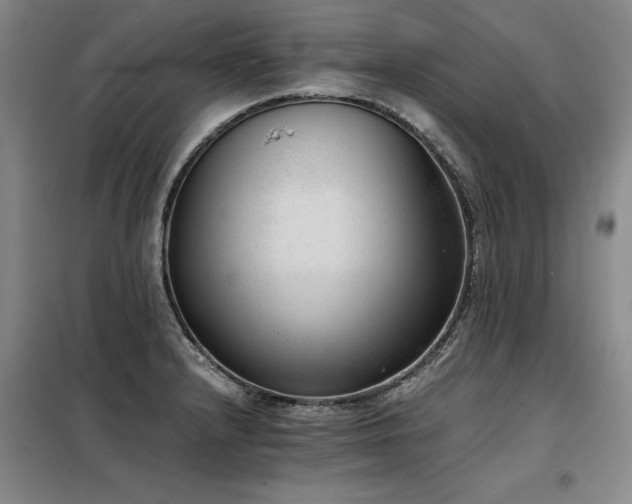 X0000098141232200804171539