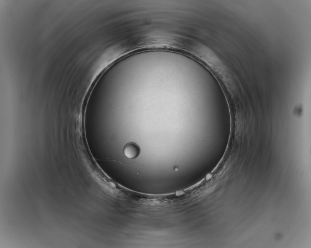 X0000098141234200804171539