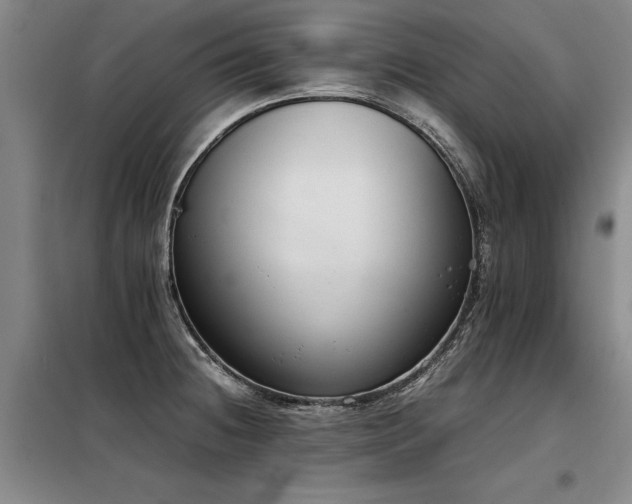 X0000098141236200804171539