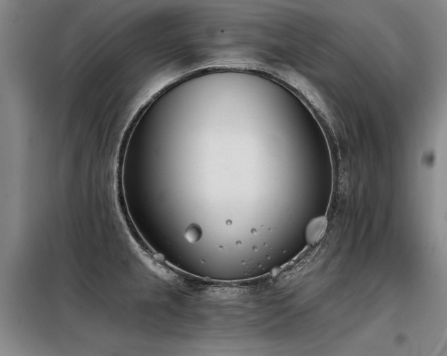 X0000098141237200804171539