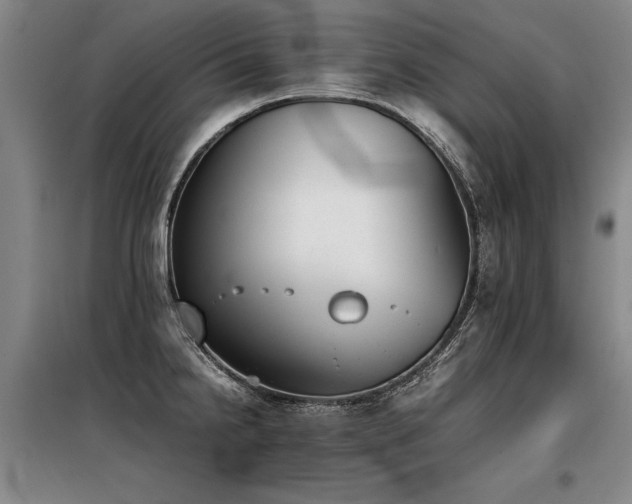 X0000098141238200804171539