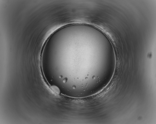X0000098141239200804171539