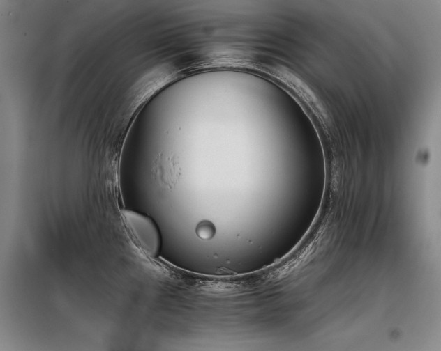 X0000098141241200804171539