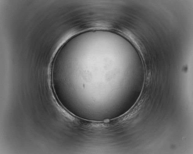 X0000098141243200804171539