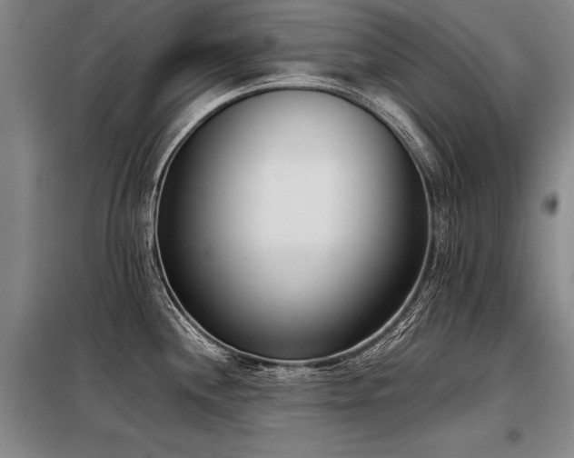 X0000098141244200804171539