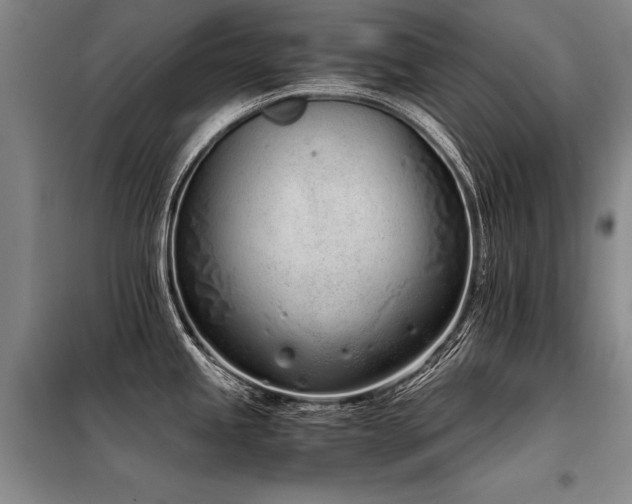X0000098141245200804171539