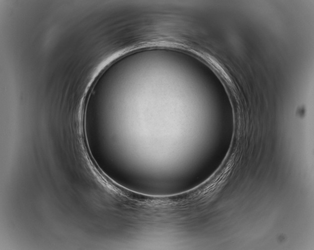 X0000098141246200804171539
