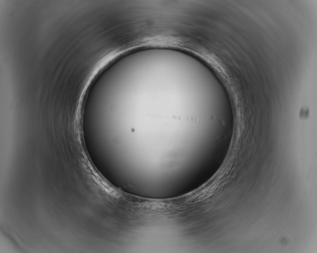 X0000098141248200804171539