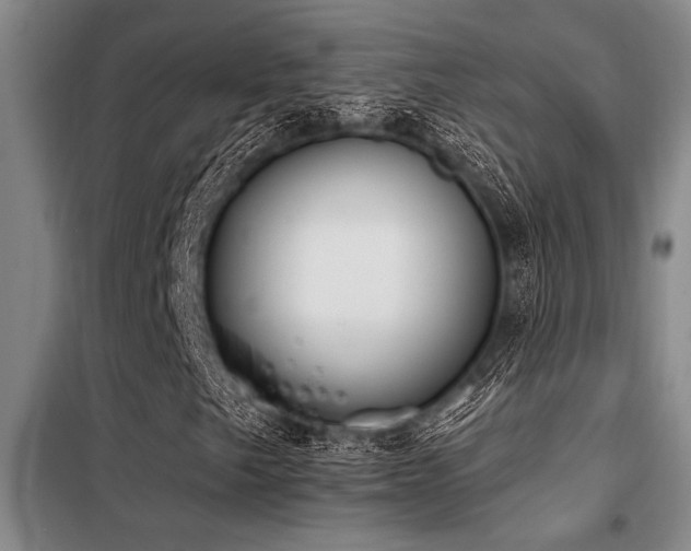 X0000098141249200804171538