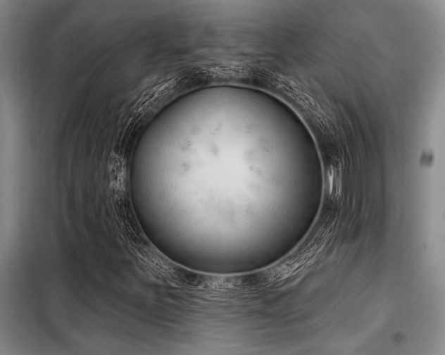 X0000098141251200804171538