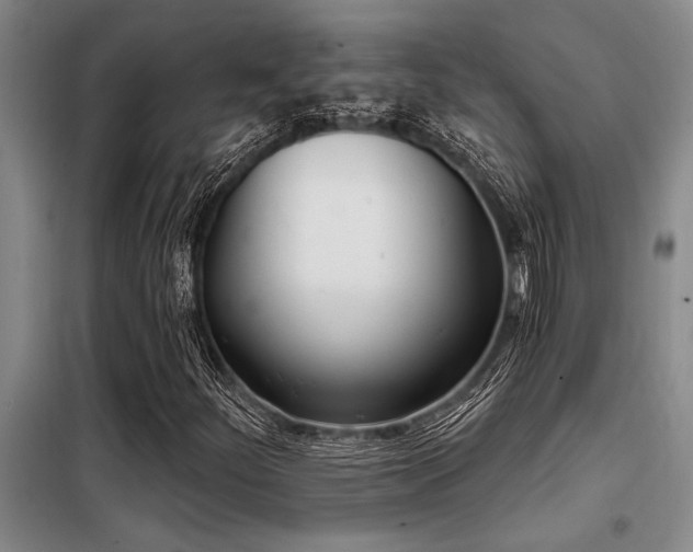 X0000098141252200804171538