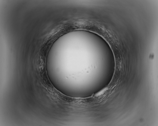 X0000098141253200804171538