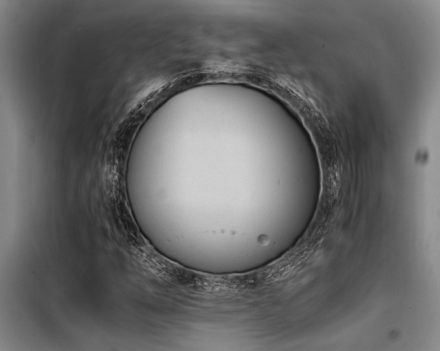 X0000098141254200804171538
