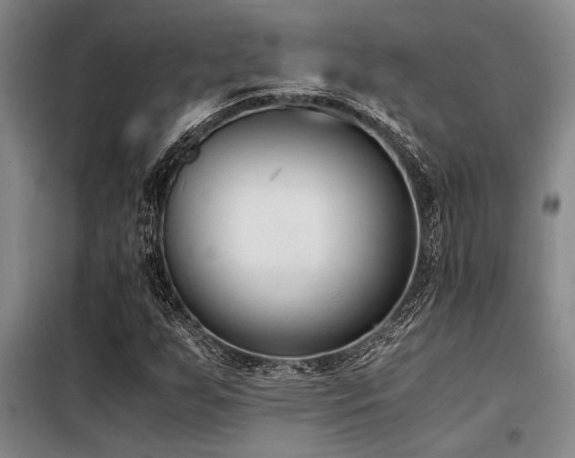X0000098141255200804171538