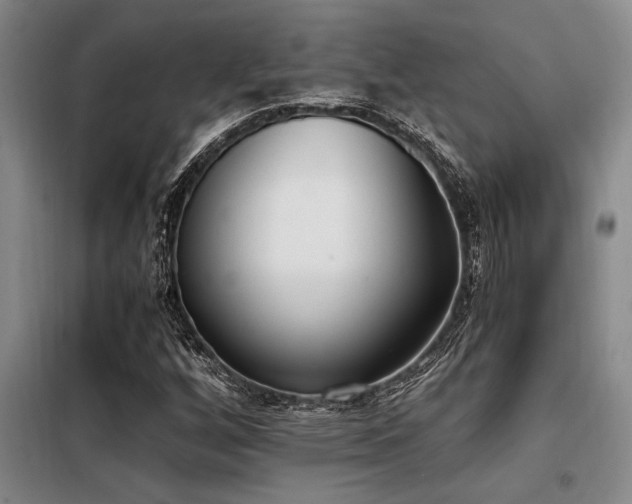 X0000098141256200804171538