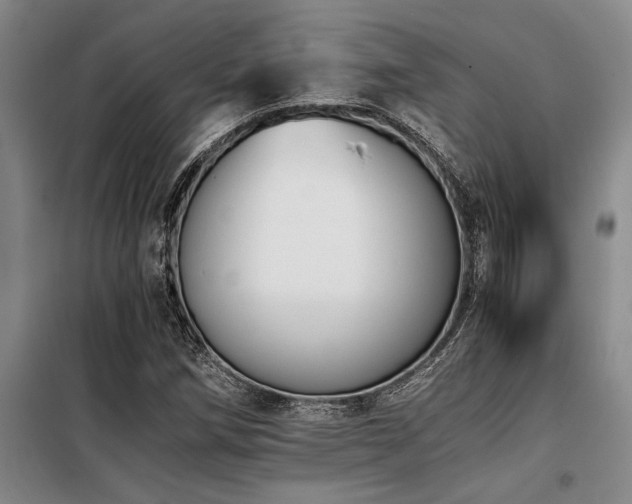 X0000098141258200804171538
