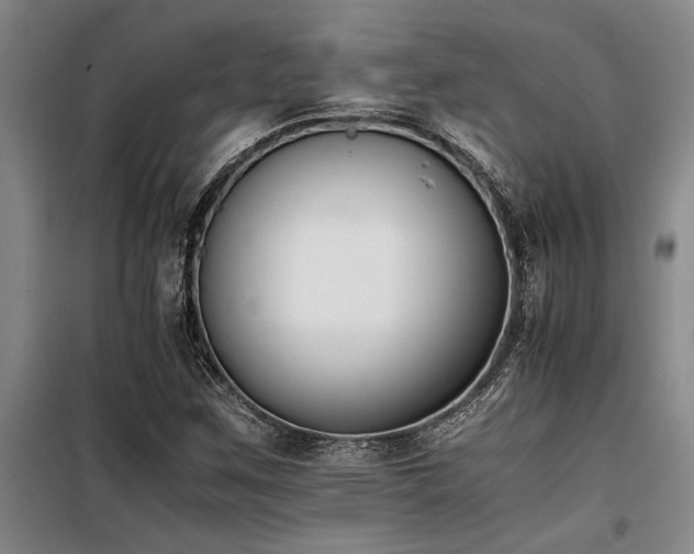 X0000098141259200804171538