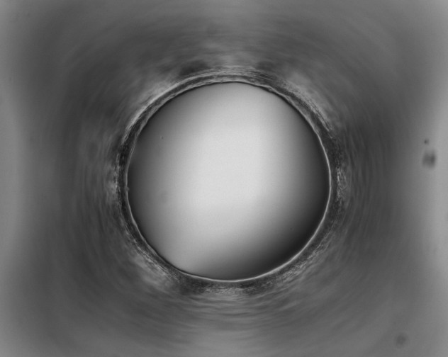 X0000098141260200804171538