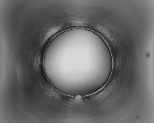 X0000098141261200804171538