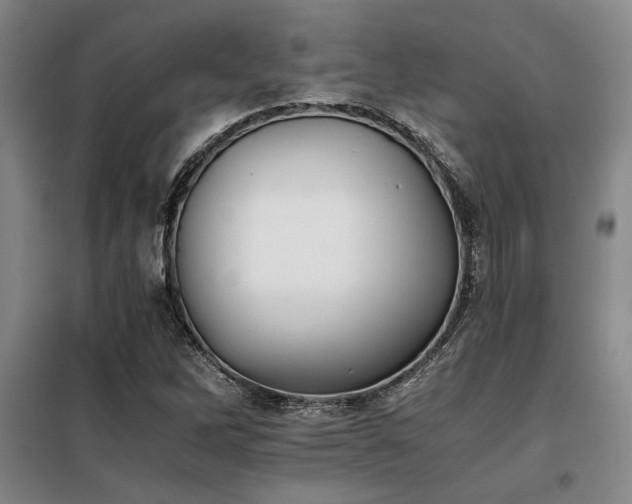X0000098141262200804171538
