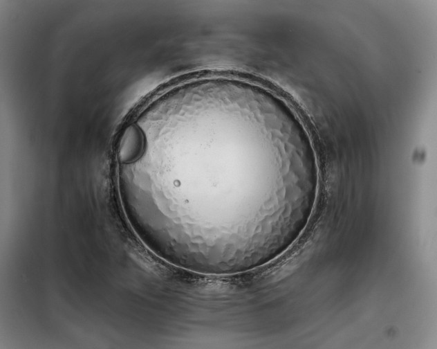 X0000098141263200804171538