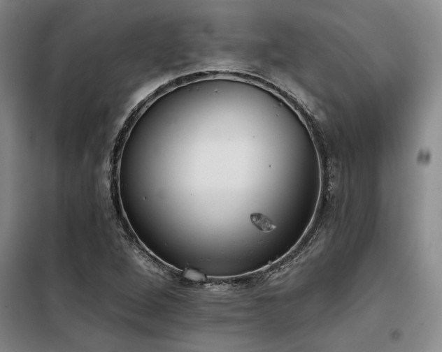 X0000098141264200804171538