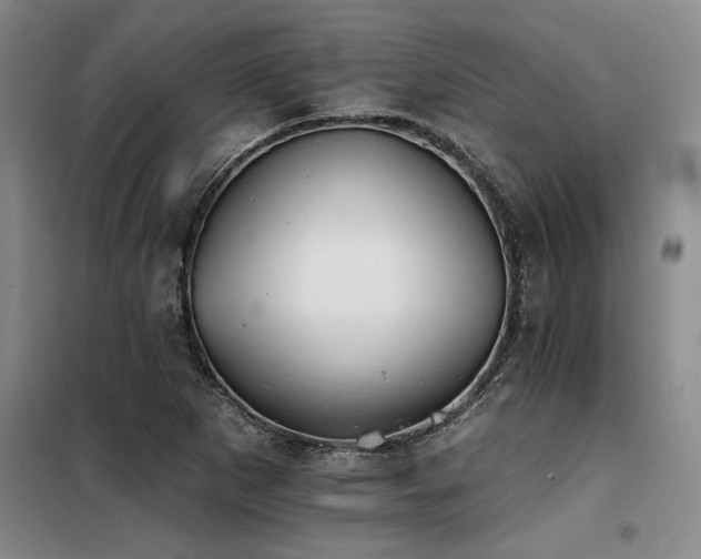 X0000098141265200804171538